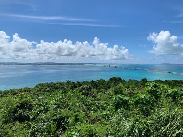 2019年第5回 宮古島 ：最終日は予報通り北東のやや強い風に乗れました千葉ひでのホームページ