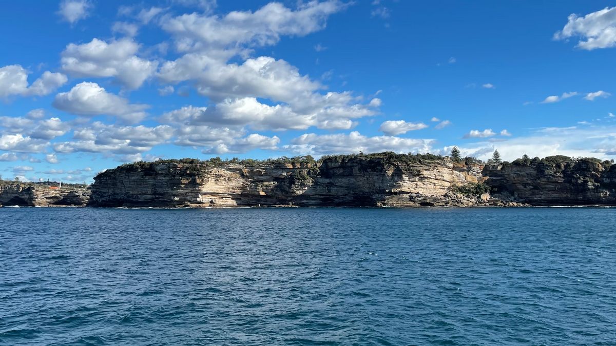 プリンセスクルーズ ニュージーランドクルーズ２ 大荒れのタスマン海を越えてピクトンへ』ピクトン ニュージーランド の旅行記・ブログ