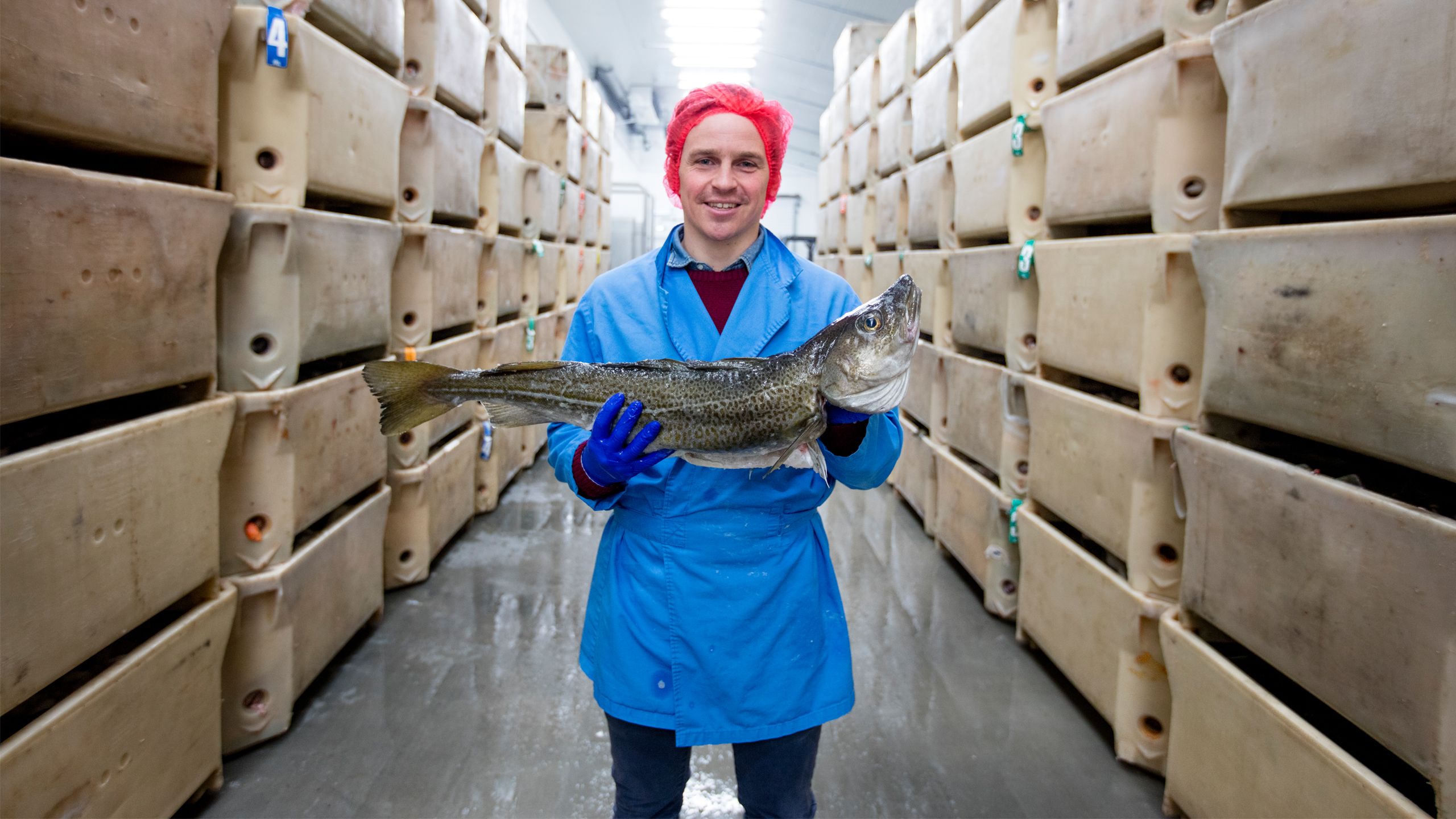 幸福度は高いけど、仕事は実力主義！ 火山と氷の国「アイスランド」の働き方 - まいにちdoda -