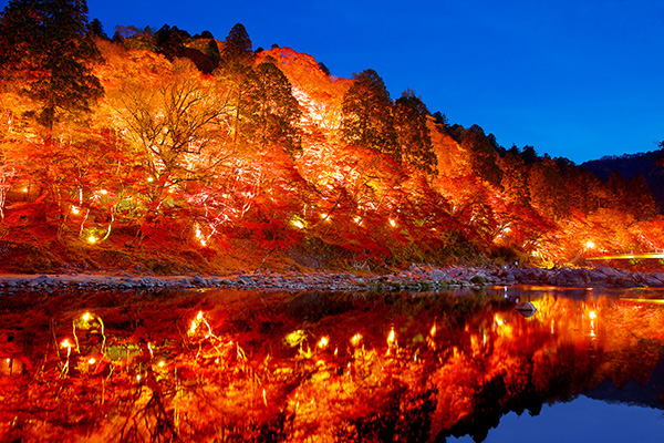 大井平公園：愛知県の紅葉スポット！観光情報とイベント詳細