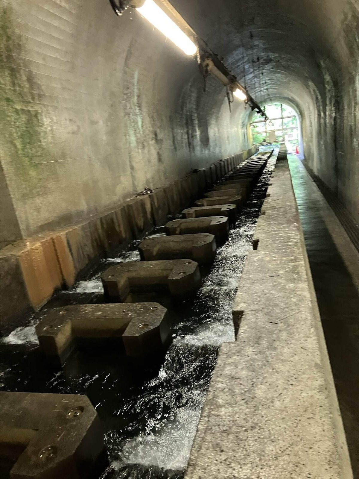 白丸ダム魚道 アクセス・営業時間・料金情報 - じゃらんnet