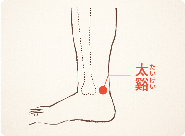 太谿 たいけい についてまとめてみた 堺市・富田林の整骨院グループたな骨グループ