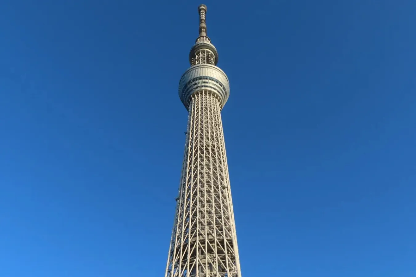 東京のシンボル！「東京タワー」楽しみ方ガイド！ 周辺観光スポットやグルメも紹介楽天トラベル