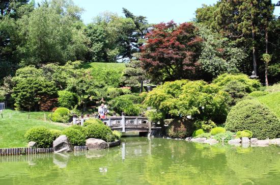 １年遅れで開催 ニューヨーク植物園で草間彌生さんの期間限定個展 -