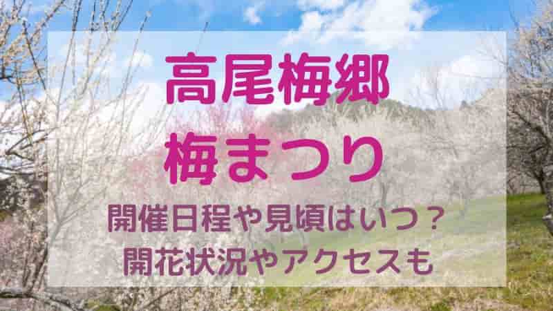 高尾山の梅の楽しみ方ガイド 登山と観梅を120%満喫しよう！GOOD LUCK TRIP