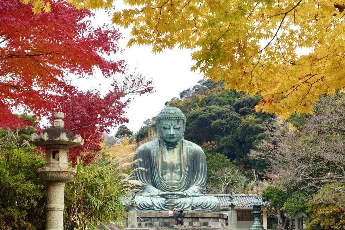 東京発：鎌倉大仏と江ノ電乗車の一日ツアーKlook