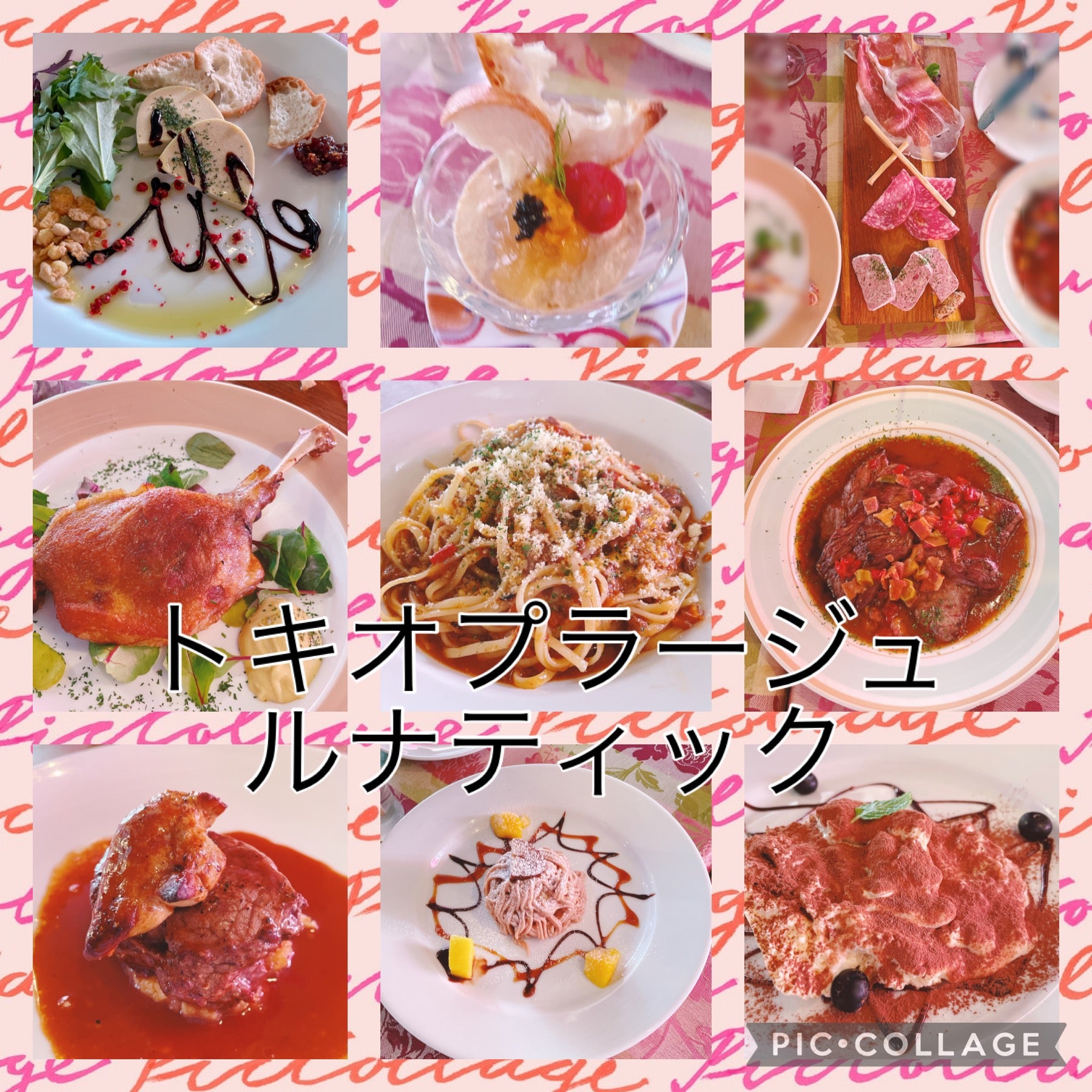 食べある記４７３トキオプラージュ・ルナティック二子玉川 フレンチ: 白血病から回復、そして食べ歩き