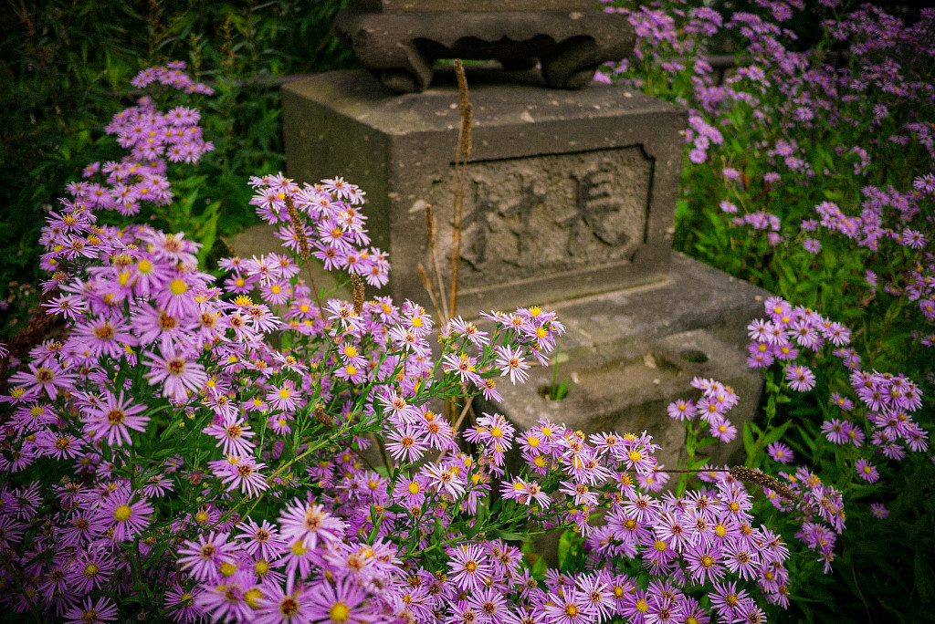 HI198 贈正四位坂本龍馬氏之墓 道標