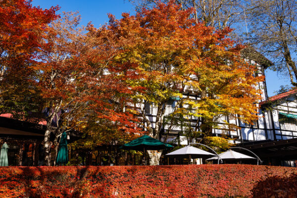 2025 軽井沢の紅葉スポット7選！見頃時期やおすすめの見どころを紹介 じゃらんニュース