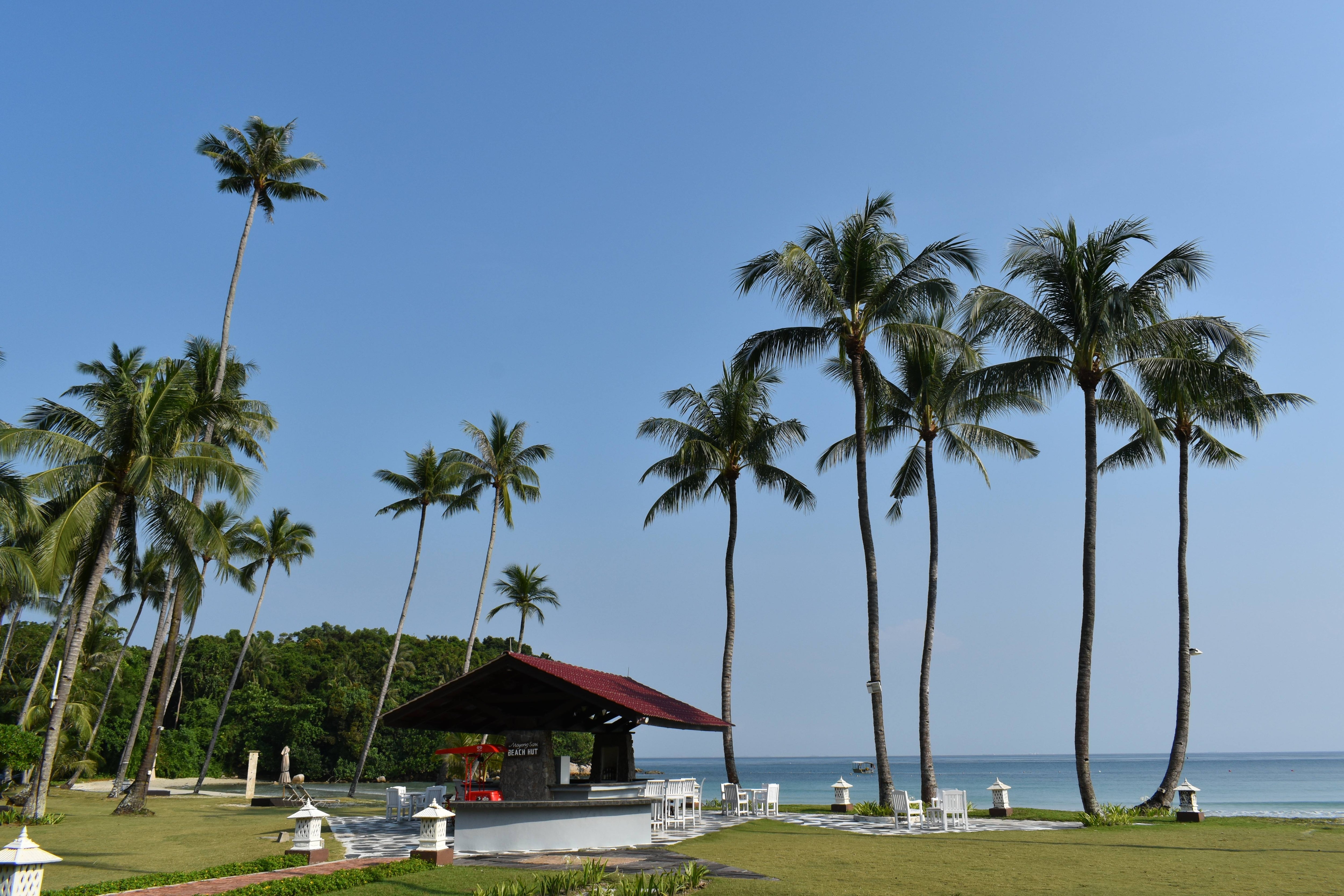 ビンタン島 - Indonesia Travel