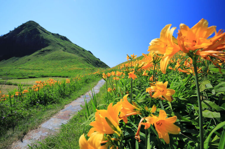 佐渡海府海岸 外海府海岸アクセス・営業時間・料金情報 - じゃらんnet