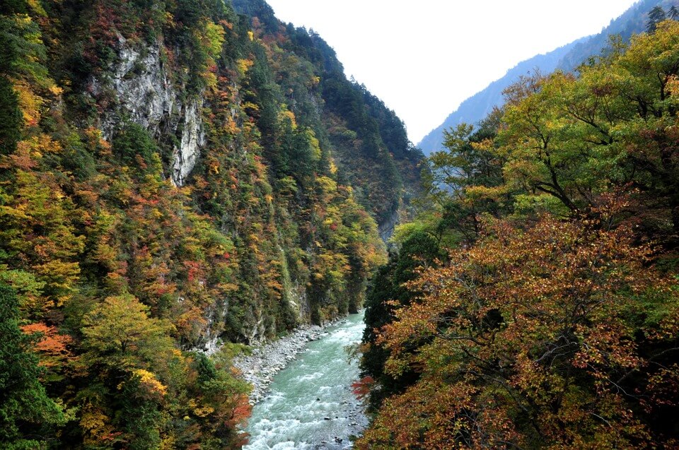 黒部峡谷の紅葉紅葉情報2025