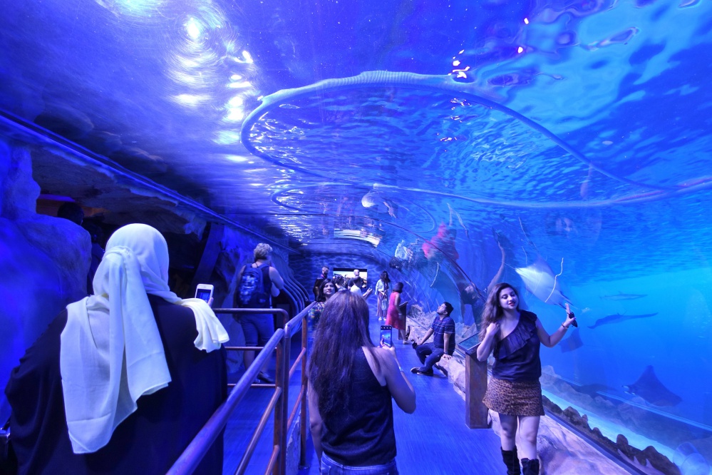 入場チケット ドバイ水族館 Dubai Aquarium ☆ドバイモール内の巨大水族館！＜ドバイ