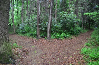 分れ道イラスト無料イラスト・フリー素材なら「イラストAC」