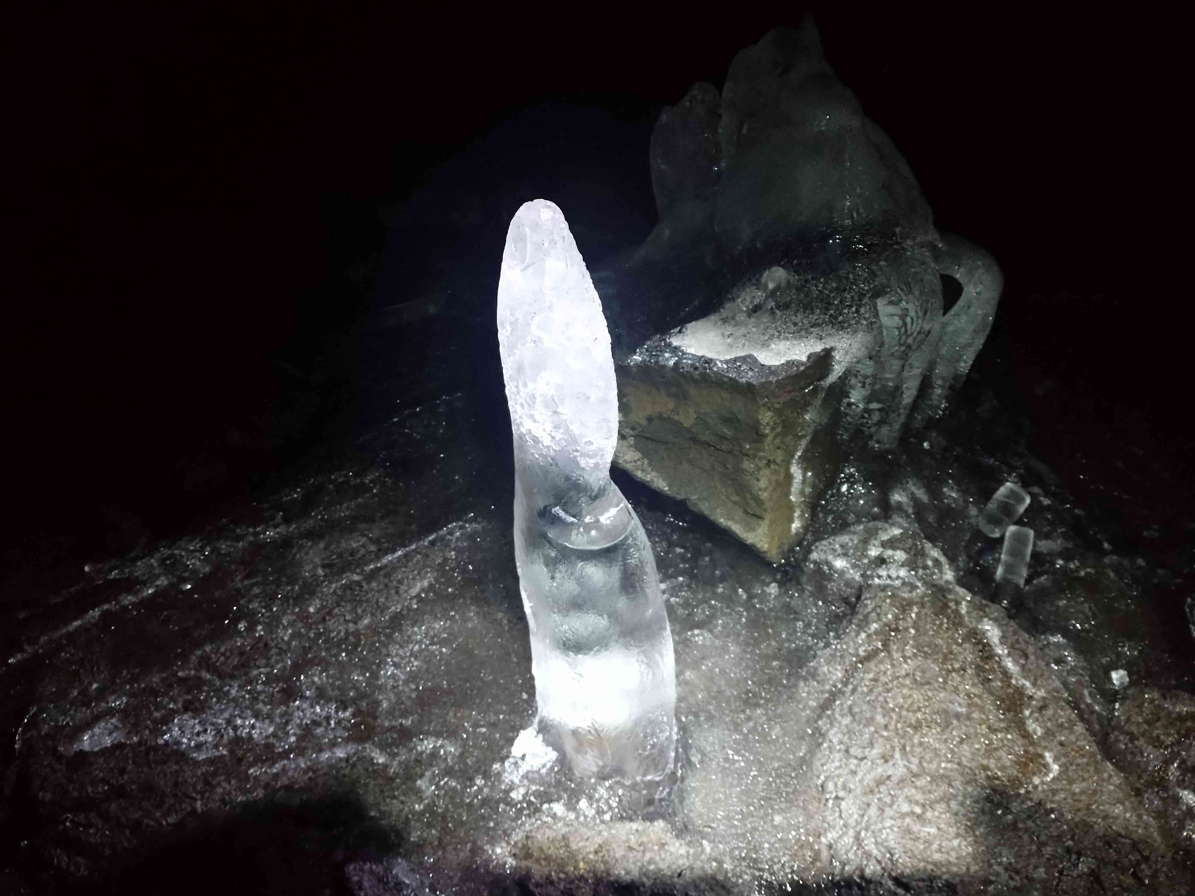 富士山の貴重な自然資源「青木ヶ原樹海」を体感するネイチャーガイドツアー「青木ヶ原樹海親子体験ツアー」と「青木ヶ原樹海ムービーツアー」を開催山梨県のプレスリリース