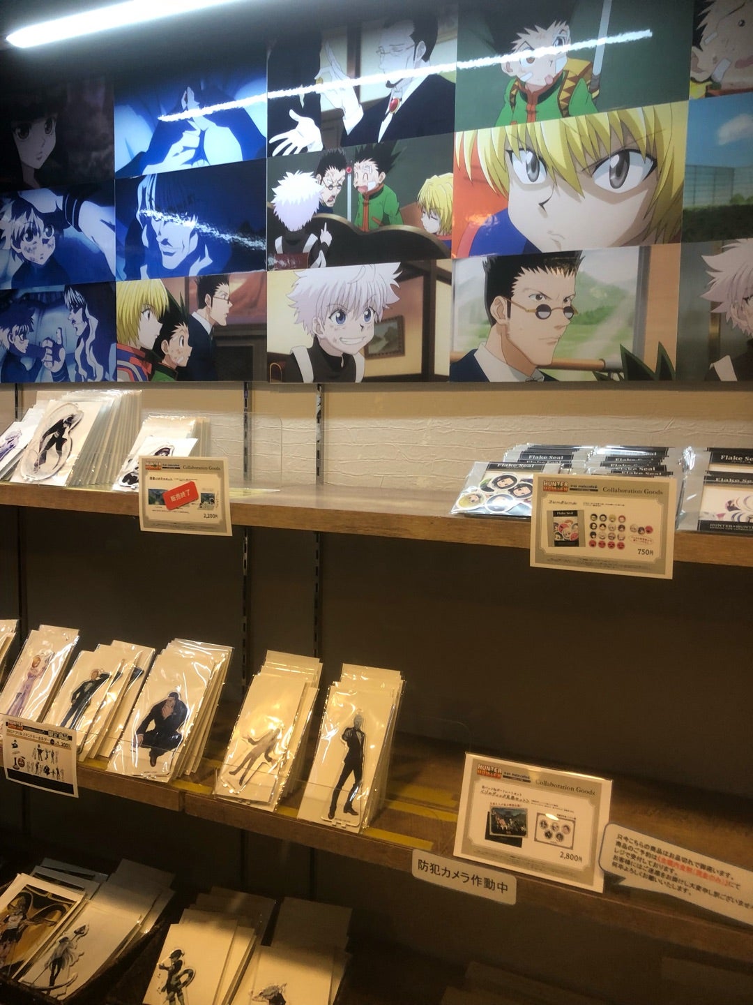 ツンドラ気候 ET とは？植物や分布を簡単に覚える方法！受験地理短期マスター塾