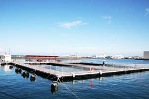 デートにオススメの「釣り堀・管理釣り場」10選！選ぶ際のポイント釣り堀ステーション