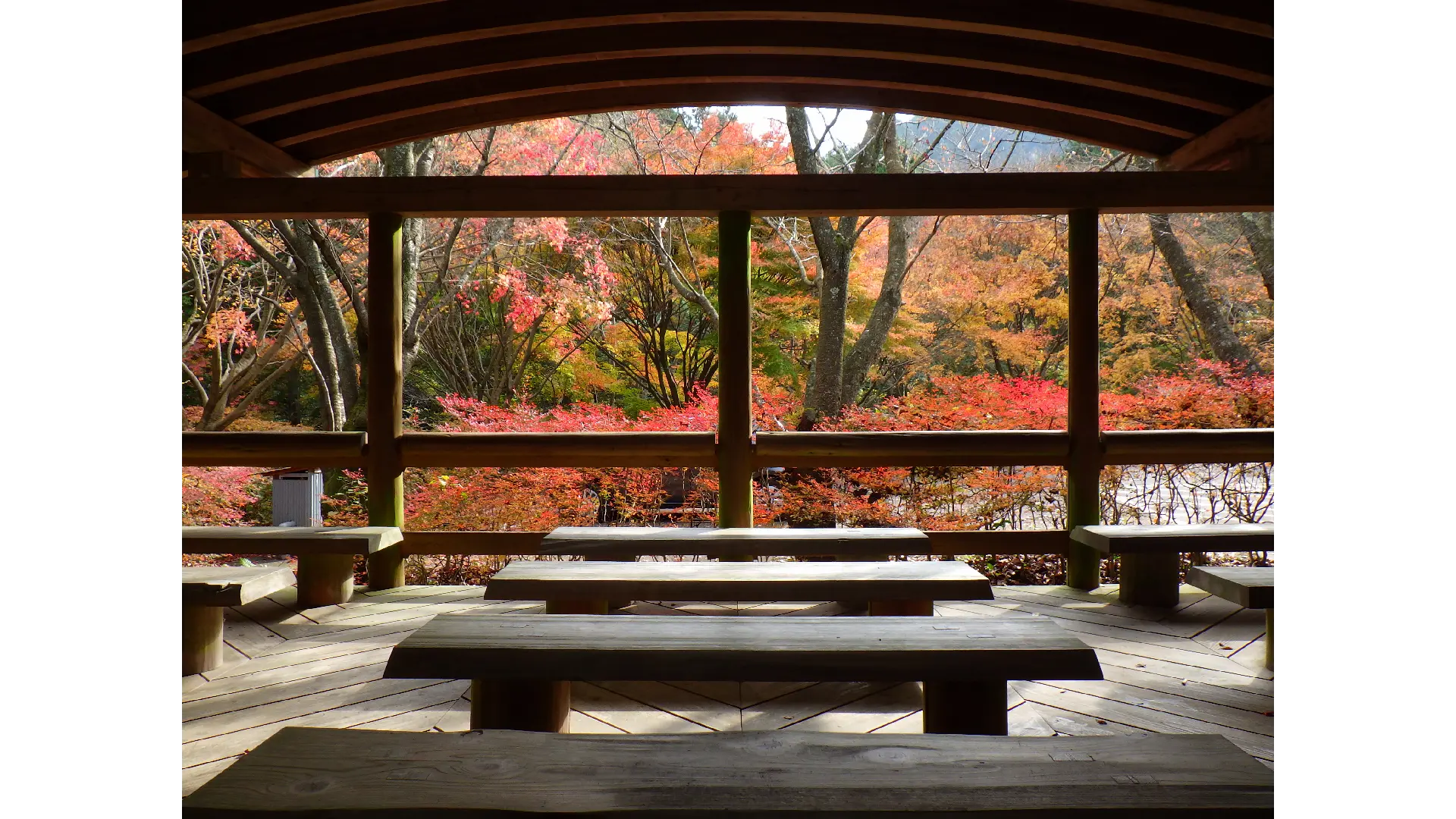 愛媛県大洲市 初冬の滝めぐりと肱川あらし展望公園四国内の観光スポット まいぷれ 新居浜市