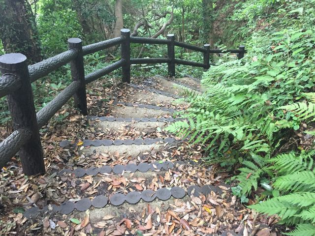 太郎山山系登山者用駐車場 大沢・兎峰コース太郎山、虚空蔵山登山口 - 登山口の駐車場ガイド