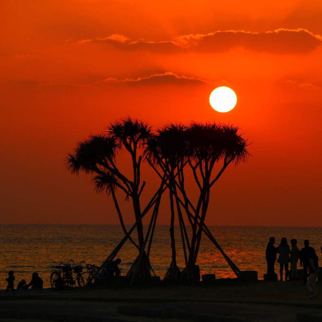 海開き 令和7年度遊泳情報 北谷公園サンセットビーチ&アラハビーチ北谷日常