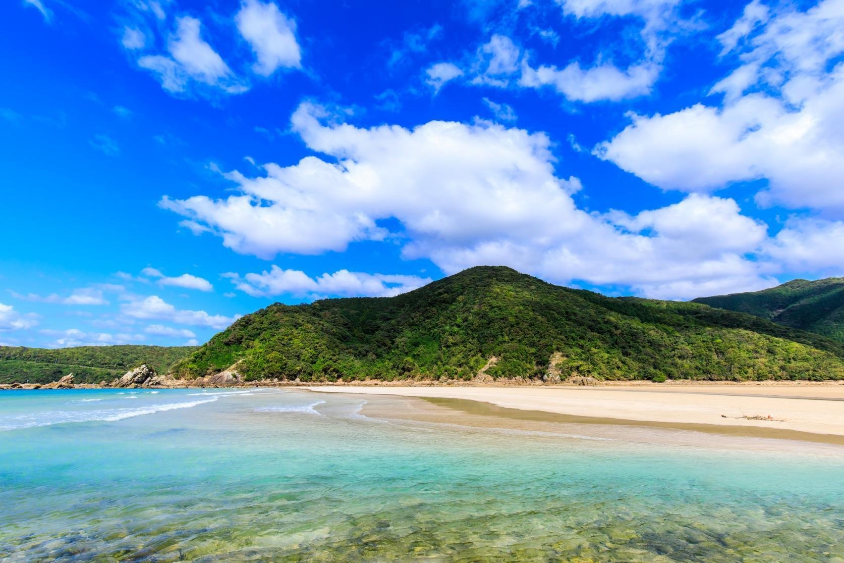 青いぜ！長崎ブルーアイランズプロジェクト