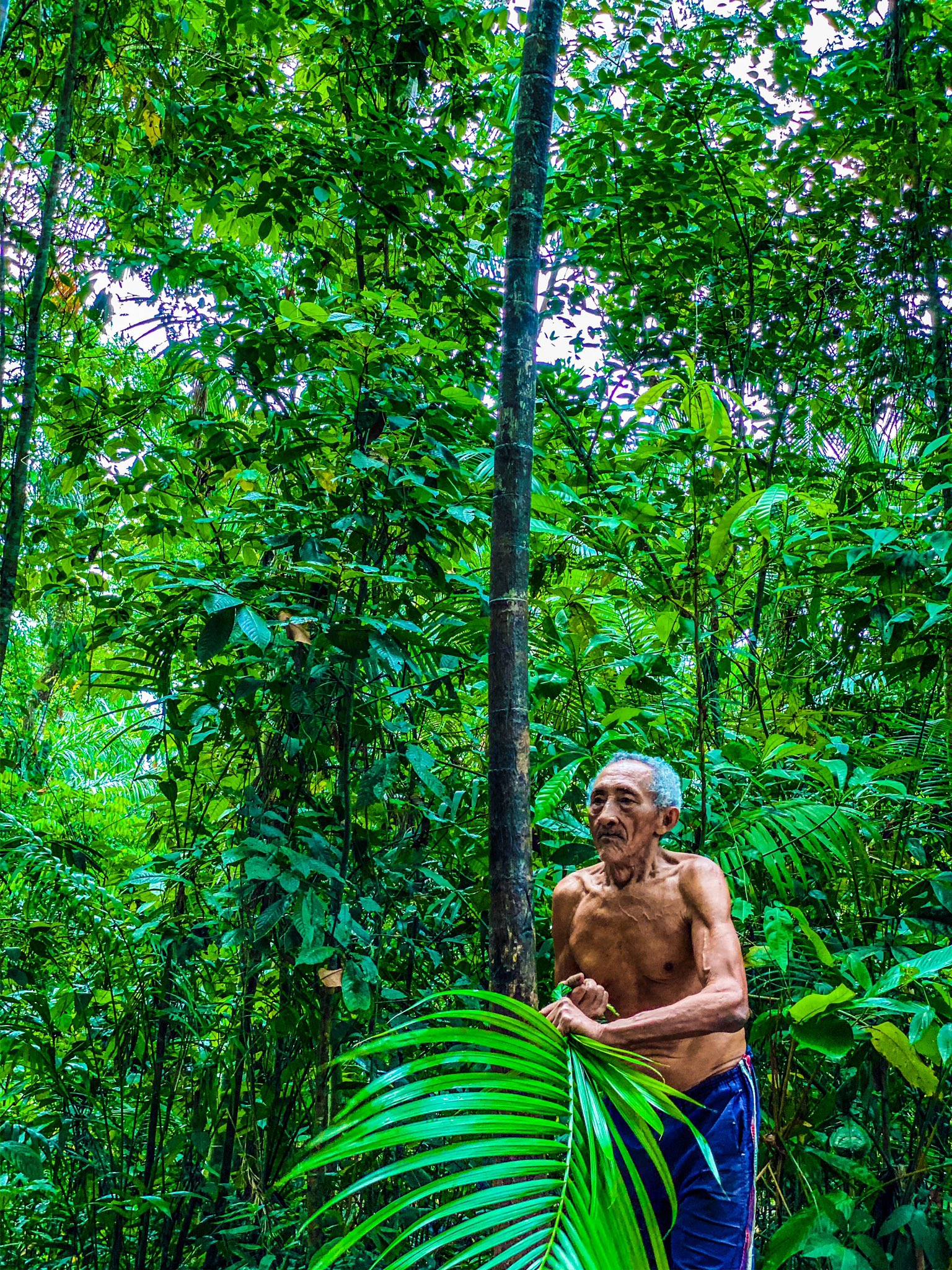 Amazon.co.jp: ジャングル・クルーズ吹替版 を観るPrime Video