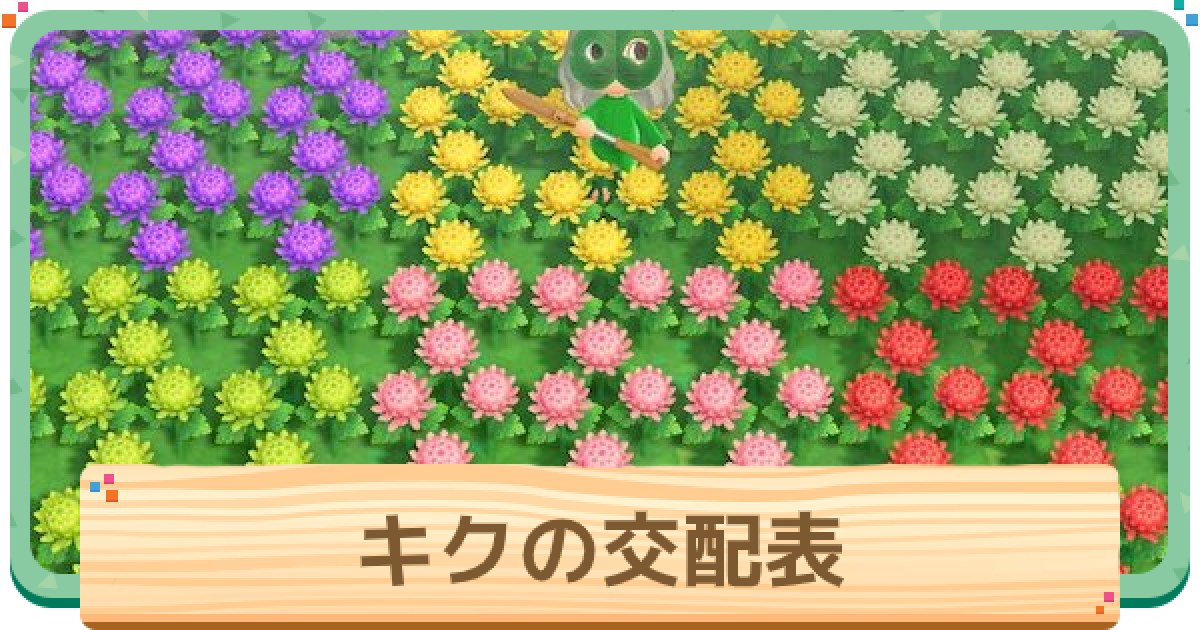 あつ森 「いらない花が捨てられない」の巻第6回「あつまれ どうぶつの森」日記ロケットニュース24