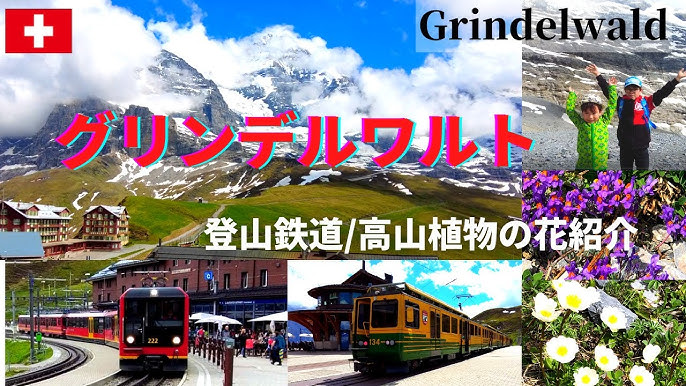 三大列車とアルプスの名峰を楽しむ スイス株式会社グローバル