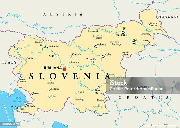 🇸🇮 スロヴェニアワイン –