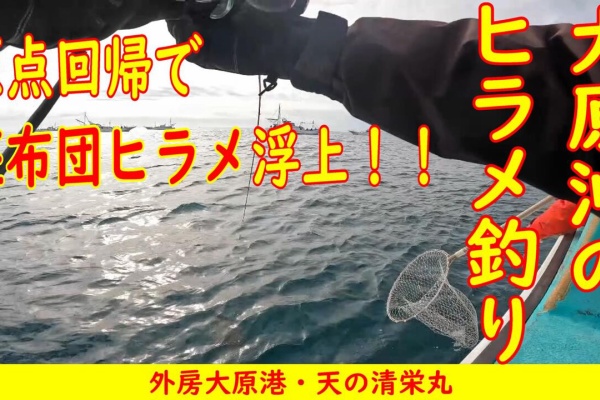 千葉県和田港 美由丸の釣果詳細釣果・施設情報釣りビジョン