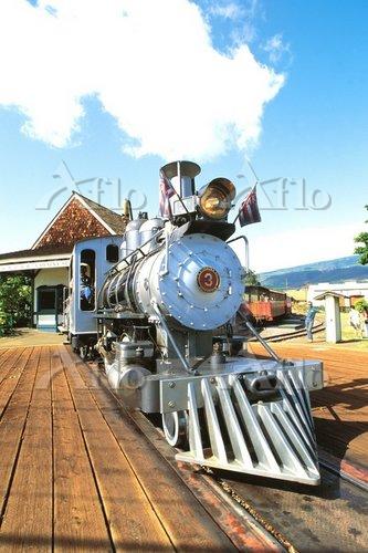 チャーターツアー：サトウキビ列車とヨコハマベイ: Aloha from Hawaii 「ハワイ日記」