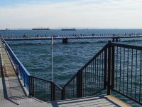 神奈川・秦野のマス釣りデートスポットTikTok