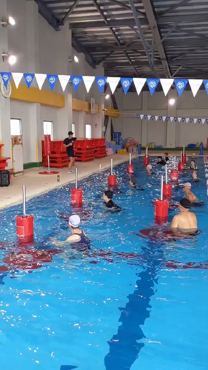 @komorebi_pool's video Tweet