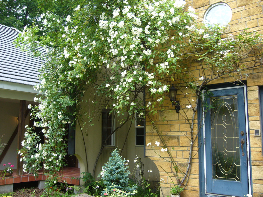 英国の森ホテル クィーンズ マナHotel Queen& 39;s