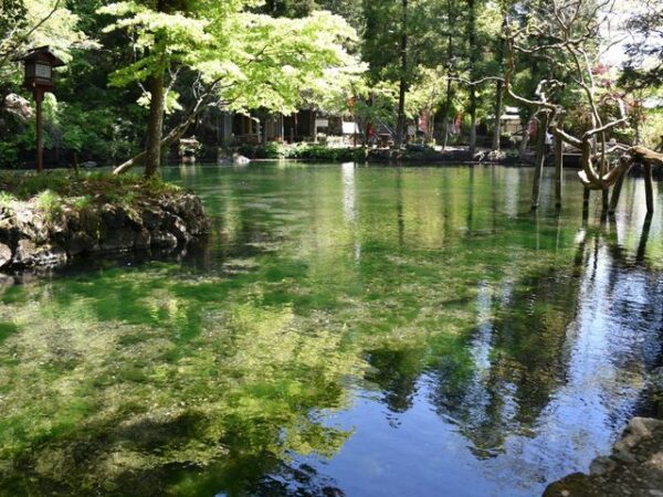 栃木のおすすめ日帰りドライブコース3選！ 日光、鬼怒川、那須高原は見どころ満載！ - まっぷるウェブ