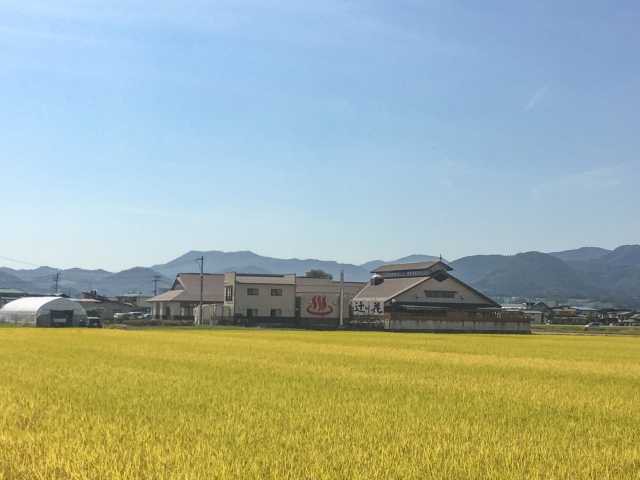 沼木温泉 辻ヶ花：田園地帯に立地する和風造りのまったり温泉施設