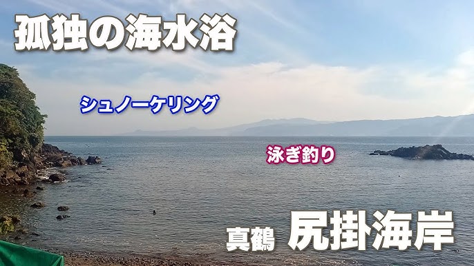 真鶴半島@琴ヶ浜 釣りの話しねこまんまねこの日記 - 楽天ブログ