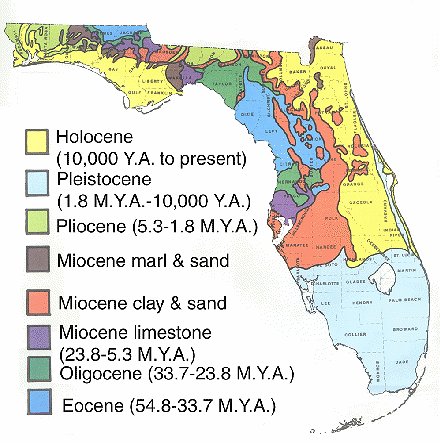 NBA マイアミ・ヒートバスケ現地観戦研究所