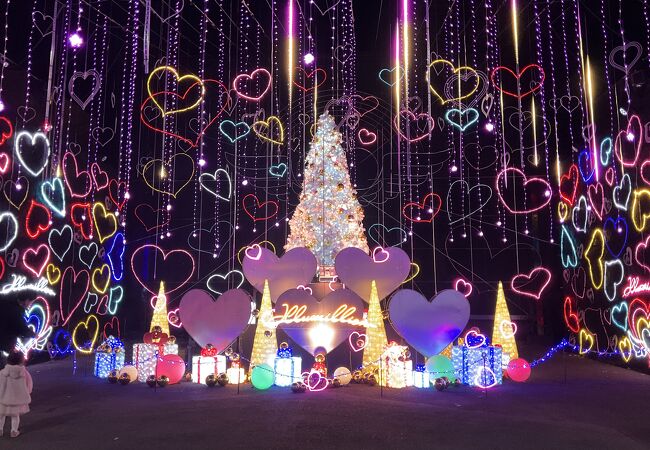 さがみ湖やまなみイルミネーション - ぶらり相模湖県立相模湖公園相模湖観光協会