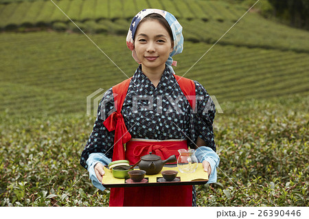 春の茶摘体験 - obubublog