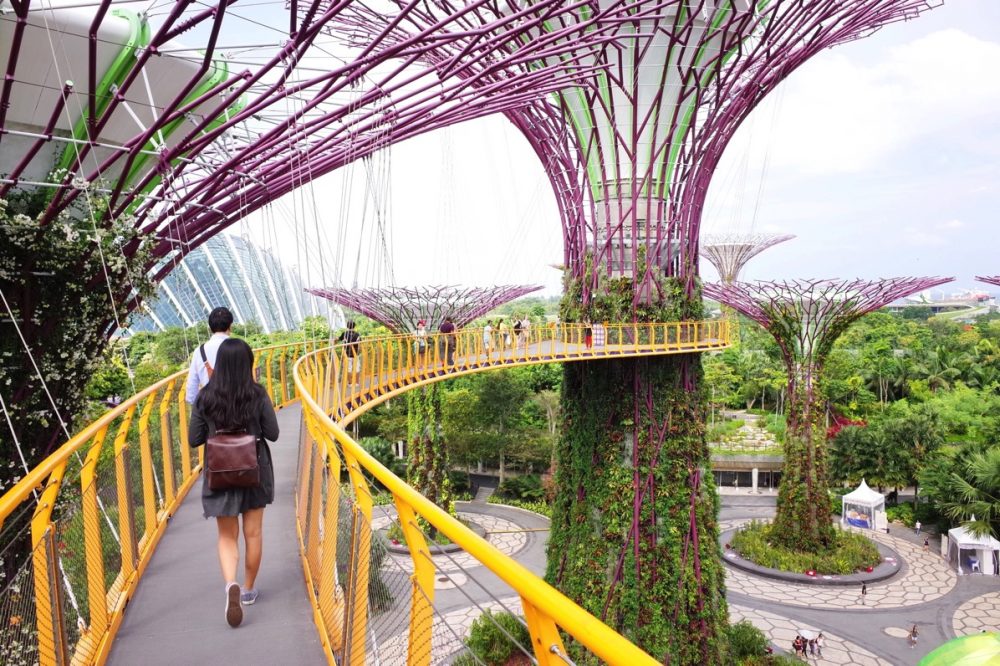 要チケット ガーデンズバイザベイのクリスマスワンダーランドを楽しもう‼