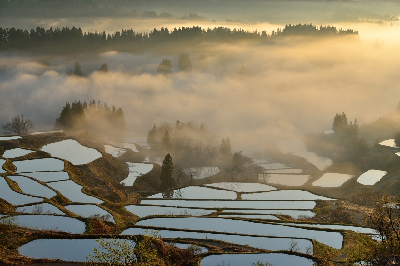 新潟絶景旅 星峠の棚田美人林清津峡龍が窪 へ行ってきた！ヒデログ
