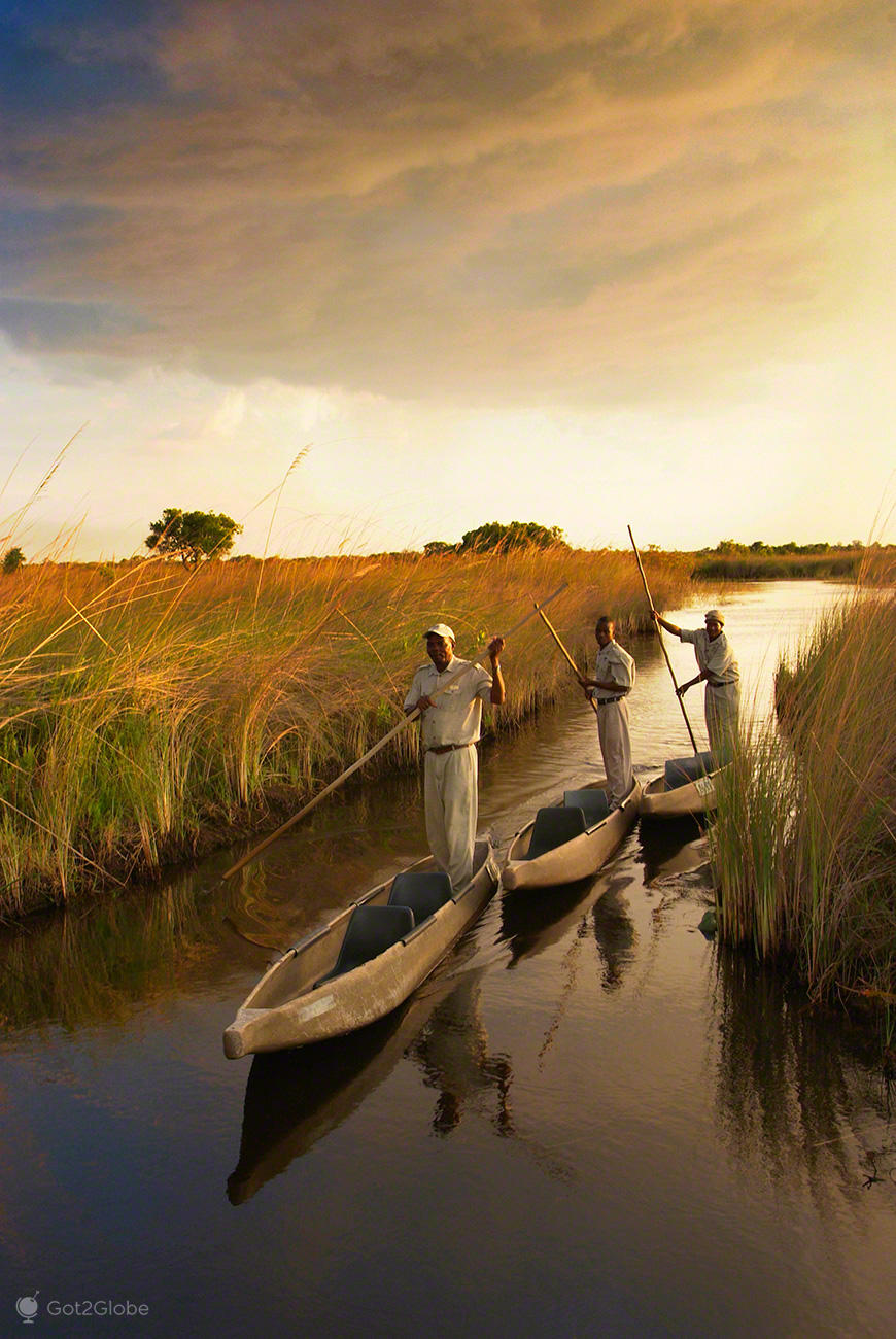 ボツワナ オカバンゴデルタ 湿地帯