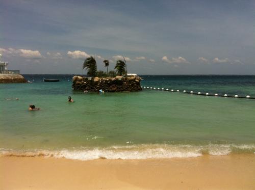 素材のちから - 常夏の島、サモア諸島の魅力