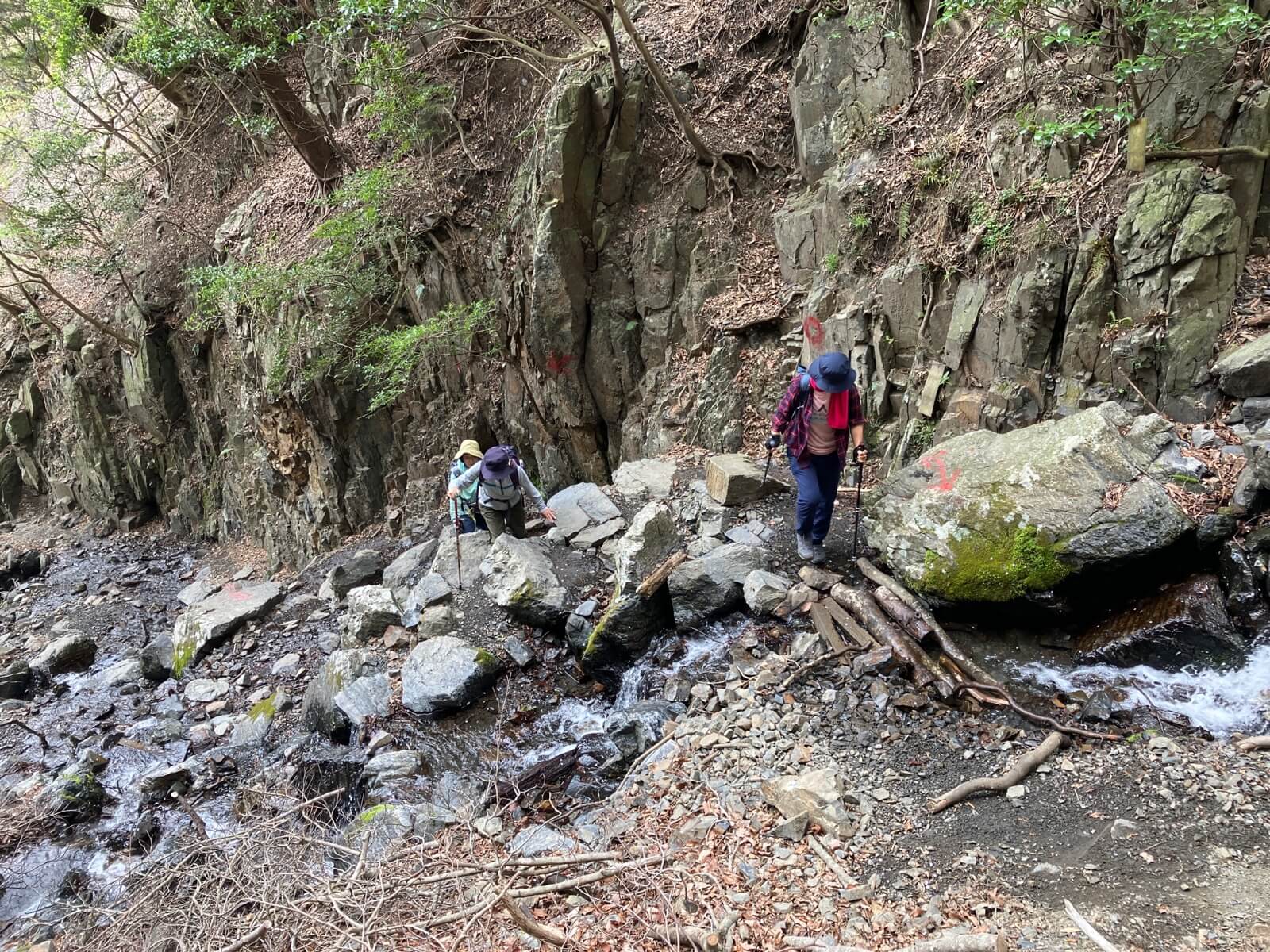 椿大神社奥宮と仏岩くりたまのブログ