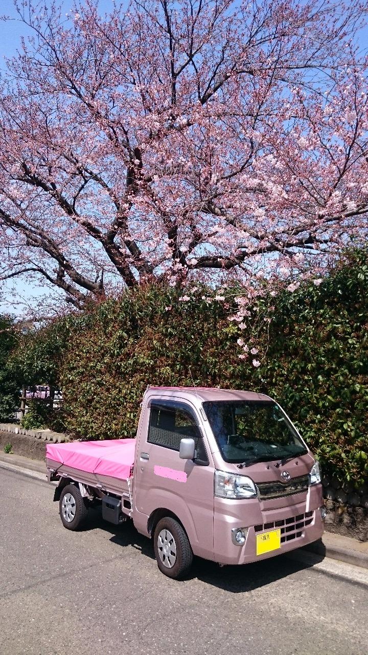 新車・ダイハツ・ハイゼットジャンボのご納車です。グーネットピット