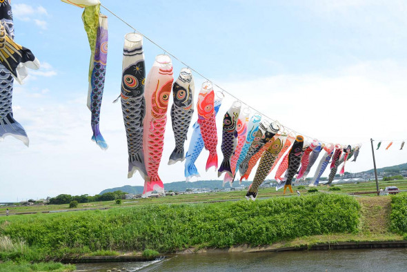 鈴川こいのぼりまつり2019 - 蒼い海BLOG
