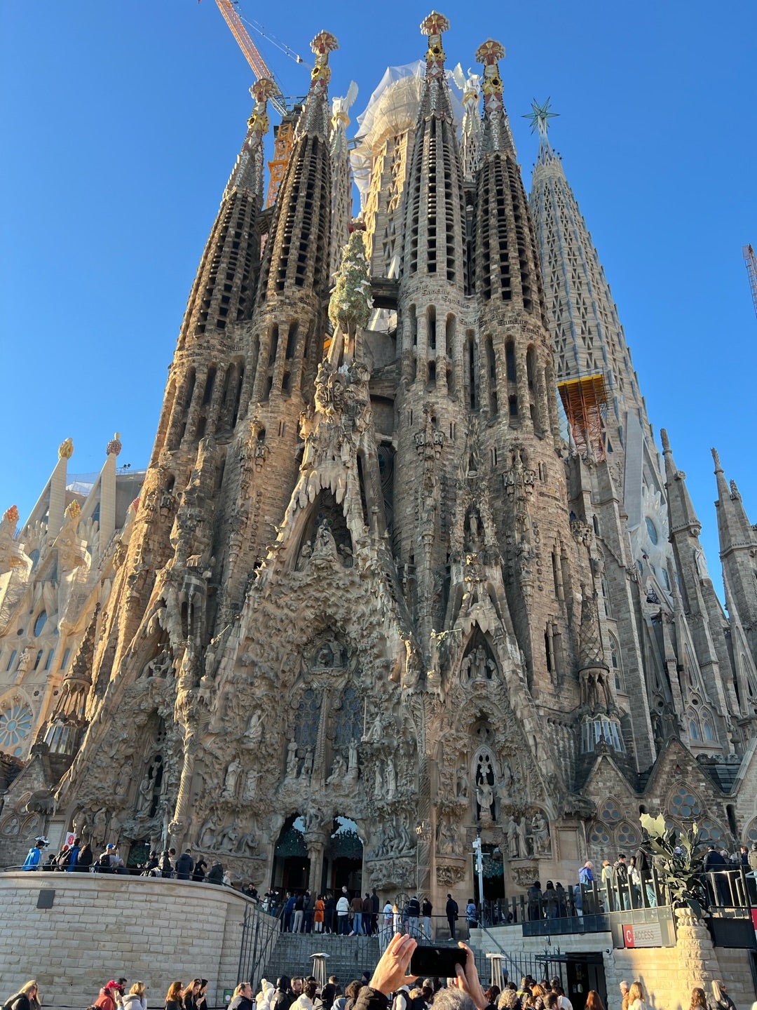 雪舟伝説@京都国立博物館天橋立図の謎自然やアートの美しさとは？mypace60