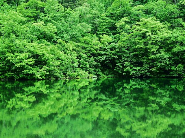 NOCスタッフブログニセコアウトドアセンタ