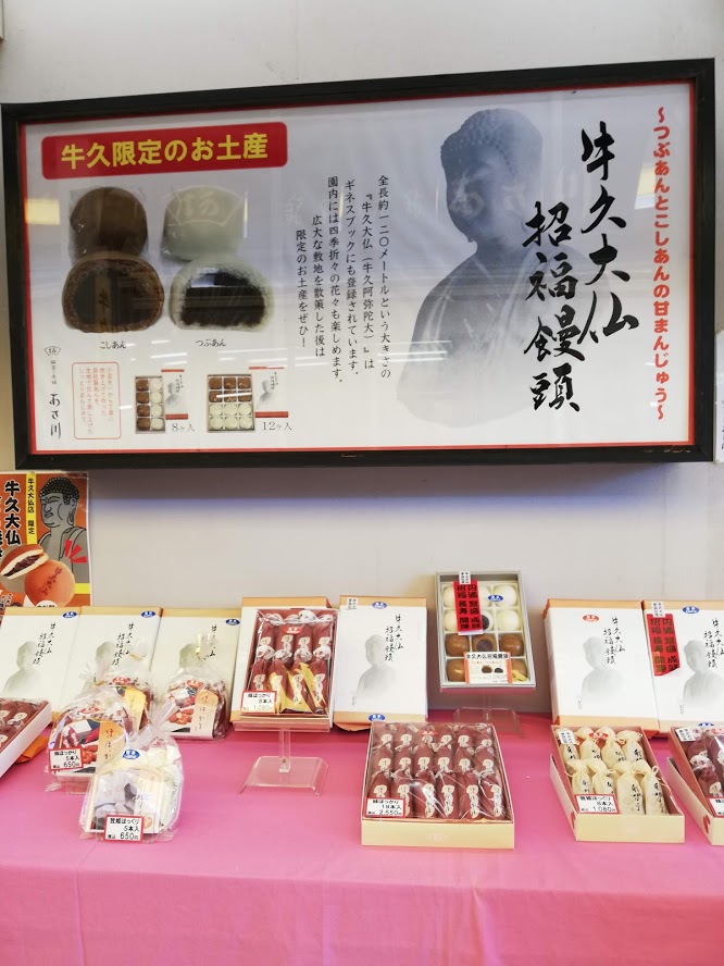 ブロンズ製大仏として世界一の高さの「牛久大仏」の見どころを紹介！物見遊山な日々